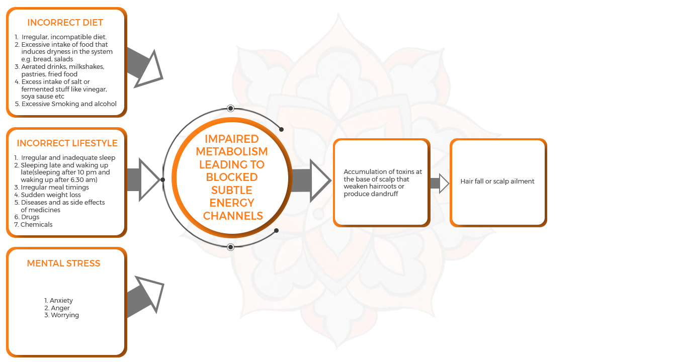 Ayurvedic treatment for hairloss (flowchart)