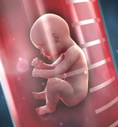 Ayurvedic treatment for Infertility