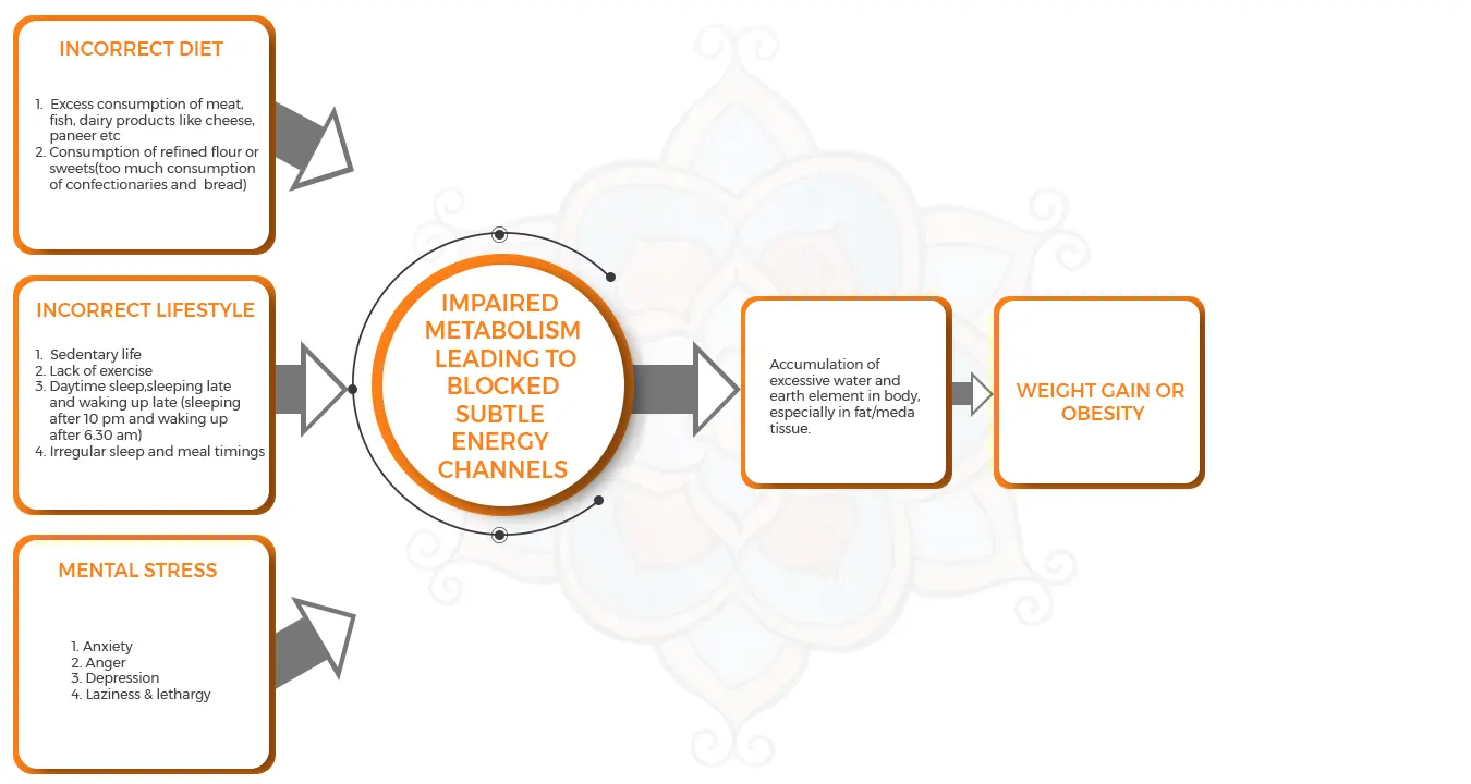 ayurvedic treatment for weight loss (flowchart)